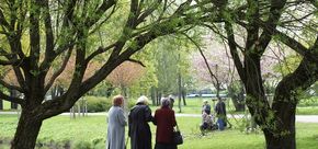 По новым правилам. Майские указы в этом году коснутся ветеранов, дольщиков, автомобилистов и банков По новым правилам. Майские указы в этом году коснутся ветеранов, дольщиков, автомобилистов и банков